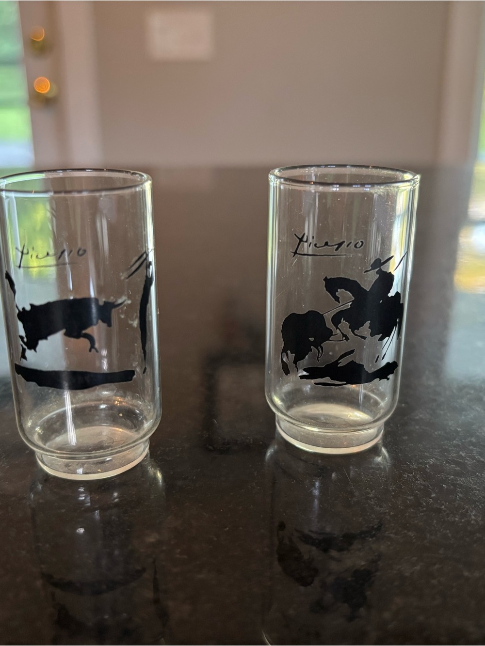 Signature Western Silhouette Shot Glasses - Clear with Black Design